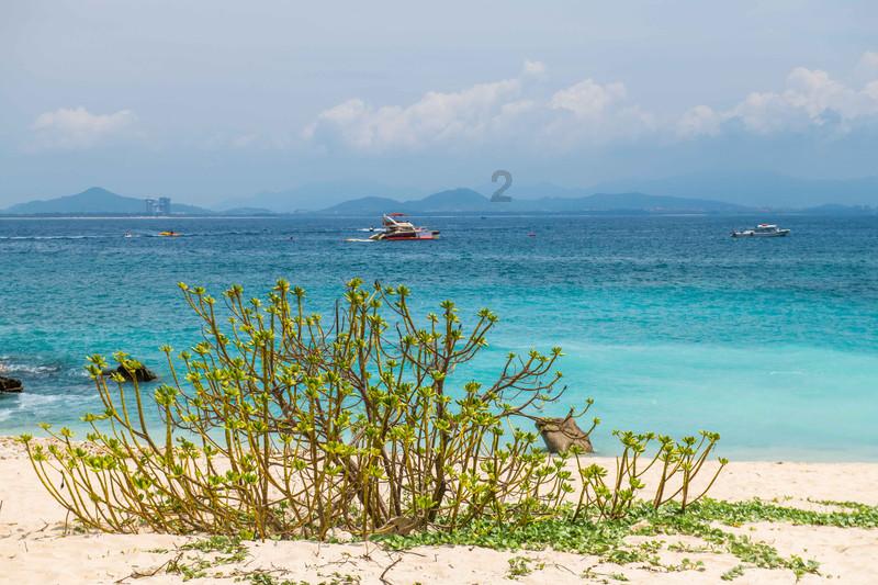 海盗的寻宝之旅